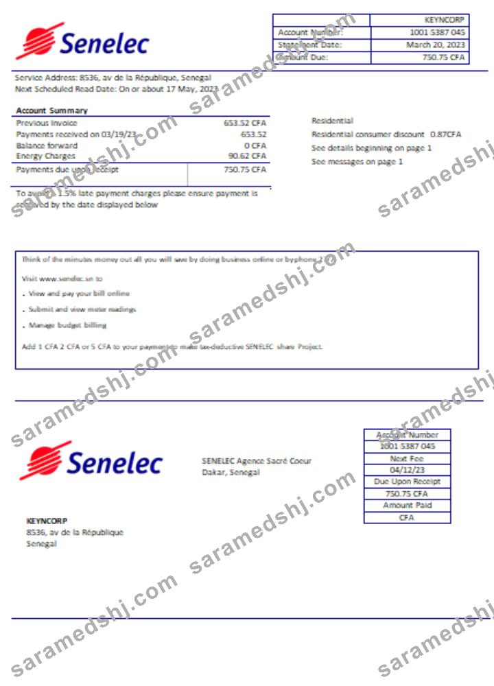 Senelec Agence Sacré Coeur Company electricity utility business bill, SCR